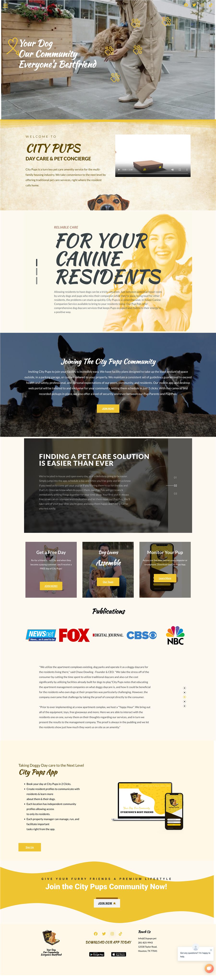 Full homepage design for New City Pups