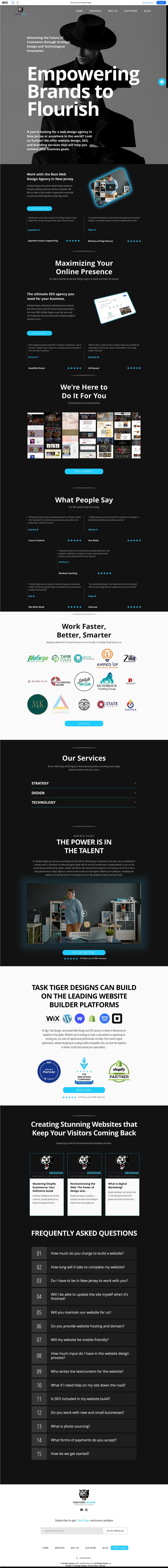 Full homepage design for TaskTiger Designs