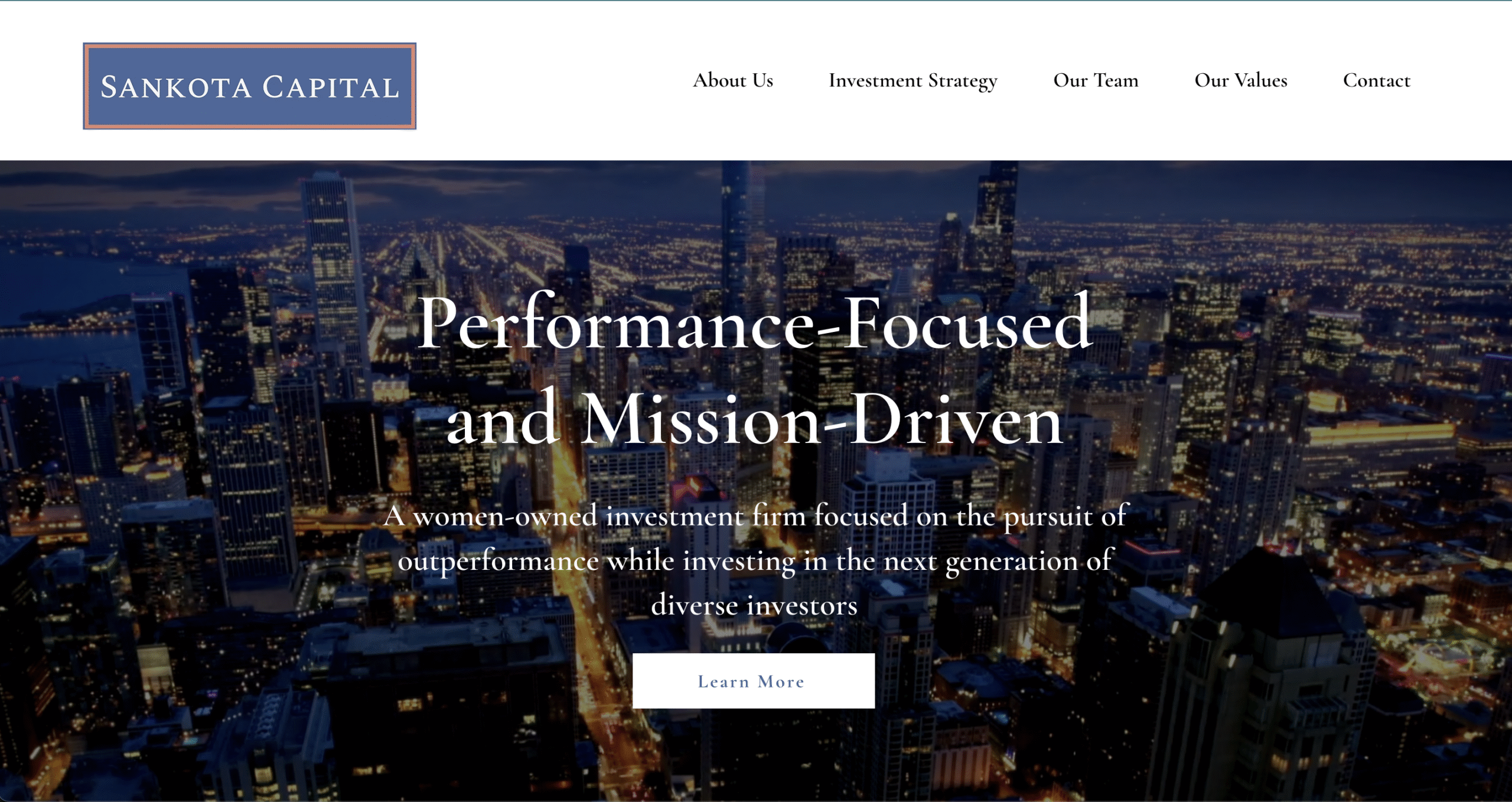 Hero image of the Sankota Capital website built with a clean and modern design.